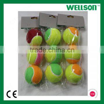 Good quality Wellson Practice tennis ball