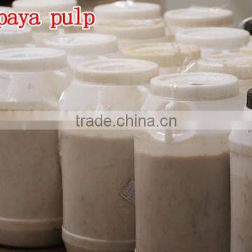 100% Natural High Quality Papaya Powder Factory Supply Dry Papaya Powder photo-4