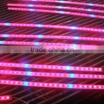 SMD 5050RGB Led Rigid Strips (DC12V 3.6W/0.5M)ADS-501215 photo-2