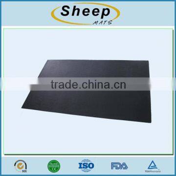 Fitness Mat / Floor Mat / PVC Mat