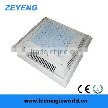 New Alibaba Hotsale Led Lighting Canopy