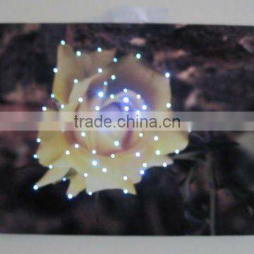 LED flower optical fiber canvas art painting light