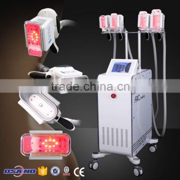 Beauty Salon Equipment 5 interchargable Cryolipolysis Therapy Body Sculpture