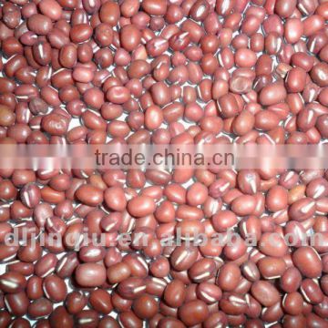 small red bean 2011 crop