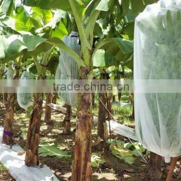 White Color Non-woven Breathable Eco-Friendly Banana Bunch Cover