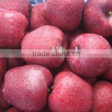 red delicious apple/huaniu apple