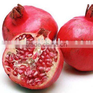 [super Deal] Pomegranate