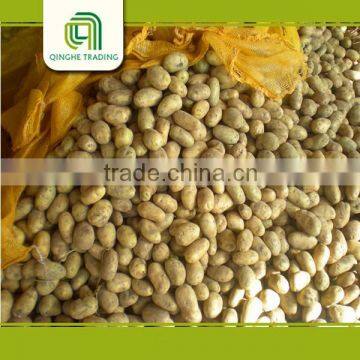 bulk mesh bag for potato
