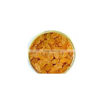 golden raisin-High quality