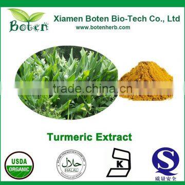 Curcumin Extract 95%