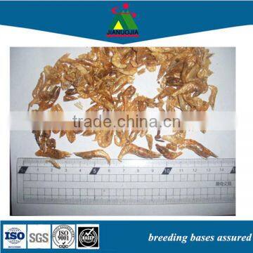 pet foods canned frozen dried small shrimp