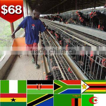  China chicken layer cage for sale