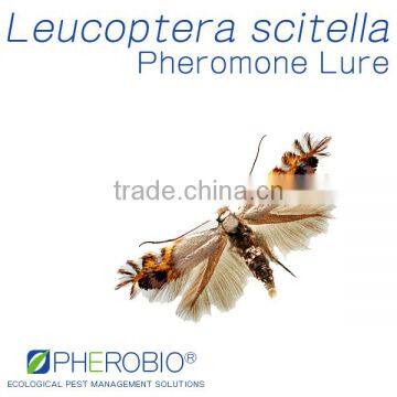 Pheromone Lure for Leucoptera scitella , Sex Pheromone Bait & Pheromone Trap for Leucoptera scitella