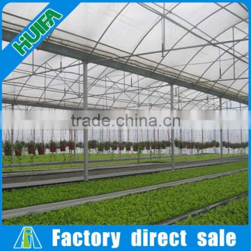 Low Cost Plastic Sheet Covering Multi-Span Greenhouse