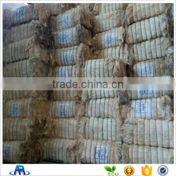 Sisal fiber from Brazil