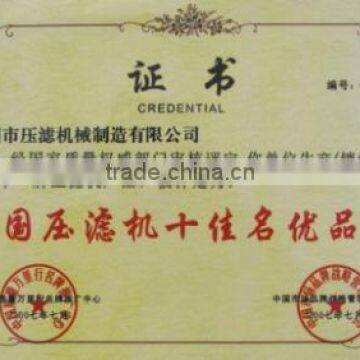 China top ten famous brand of filter press