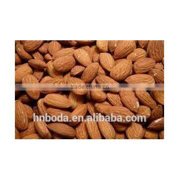 Cashew Nut Hot Air Machinery photo-4