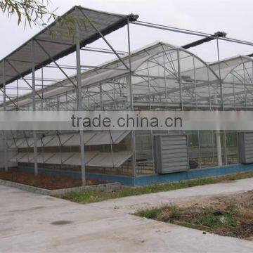 Multi-Span Greenhouse With Vegetable Aquaculture System photo-2