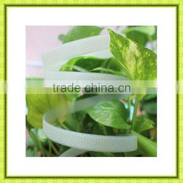 Paking Tape pp Packing Tape Printing Packing Belt Press With Packing Belt Yesllow Carton Strapping photo-4