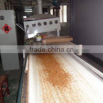 High Protein Reptiles Food Dried Mealworms photo-4