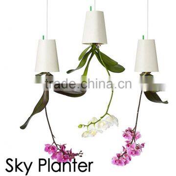 Creative Flower Pot Plastice Sky Planter Mini Sky Garden Hang Suspended Decorative Sky Planter New Design Indoor Sky Planter photo-3