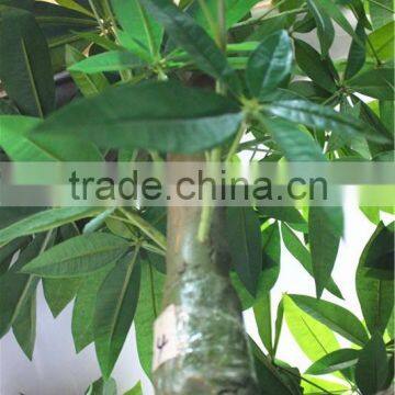 Home Garden Creepers Decoration 180cm Height Artificial Green Pachira Aquatica Tree EFCS05 2902 photo-5
