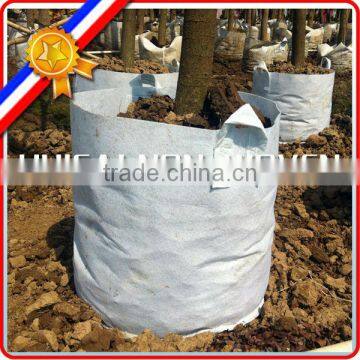 various sizes and design felt tree grow bag