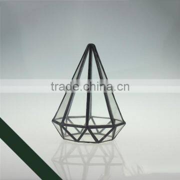 Eight faceted diamond tip glass greenhouse creative succulents micro landscape flowerpot wholesale