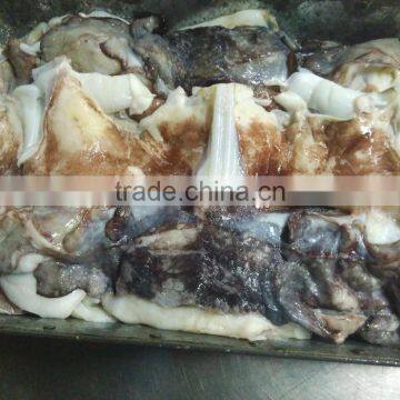 Frozen Giant Squid Neck photo-2