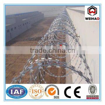Carton Coil Razor Wire for Industry photo-3