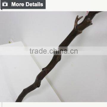 Buy Direct From China Manufacturer Dry Tree Branches for Wedding Decoration photo-4