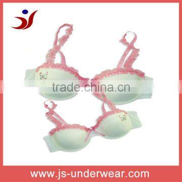 Newest Design and Good Price Ladies Underwear Bra