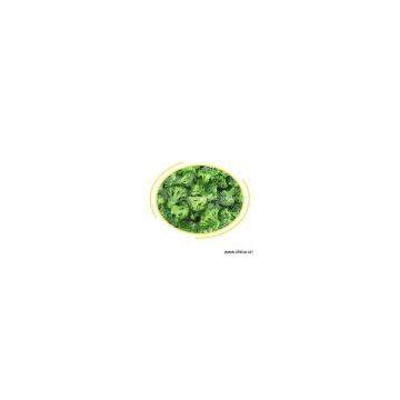 Sell IQF Broccoli