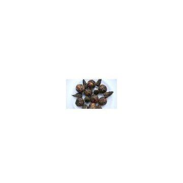 colorful blooming tea wholesale