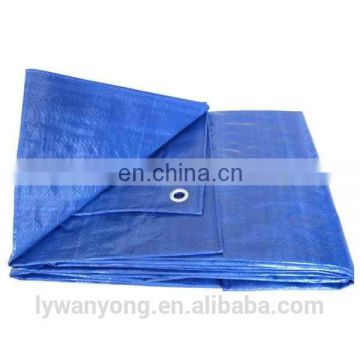 Double color blue general purpose tarpaulin with different size