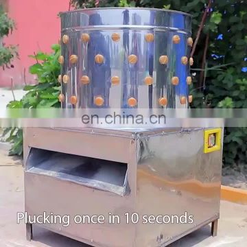 Simple Chicken Plucker Machine /Poultry Processing Equipment/portable chicken plucker machine