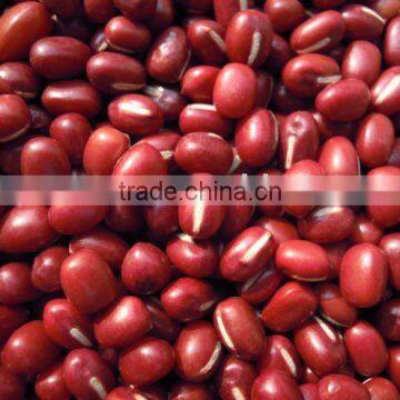 small red bean (common or organic type)