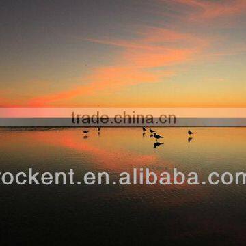 Canon EF-S 10-22mm F3.5-4.5 USM photo-3