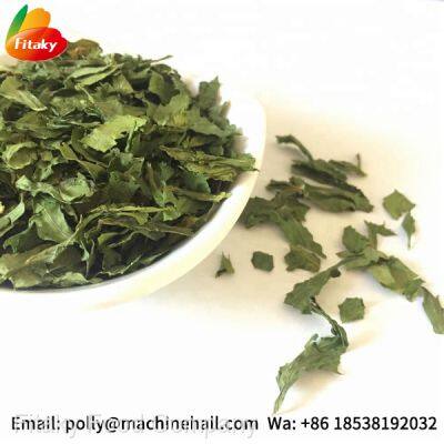 High Quality Organic Dried Celery Flakes Wholesale Price photo-3