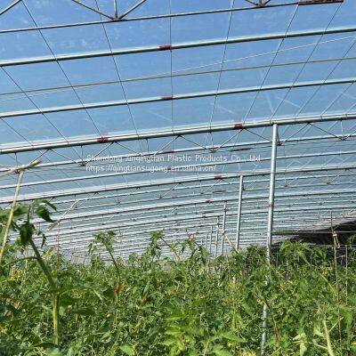 Qingtian Blue High Impact Resistance 200micron Plastic Reinforced Film for Greenhouse Po Film photo-5