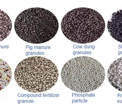 Máquina de compostaje de hongos, máquina revolvedora de compost para equipos avícolas y eliminación de desechos de granjas de pollos photo-6