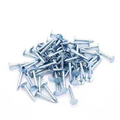 Galvanized Felt Nails for Asphalt Shingle and Roofing Felt Installation