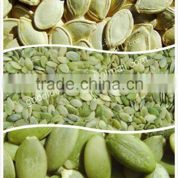 New Crop Shine Skin Pumpkin Seed And Kernel