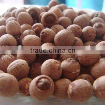 Red dried lotus seed
