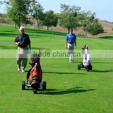 Portable Electric Golf Trolley With CE DG12150-D photo-3