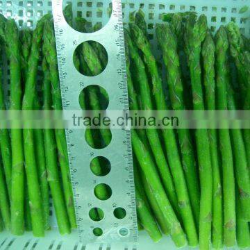 Frozen Asparagus