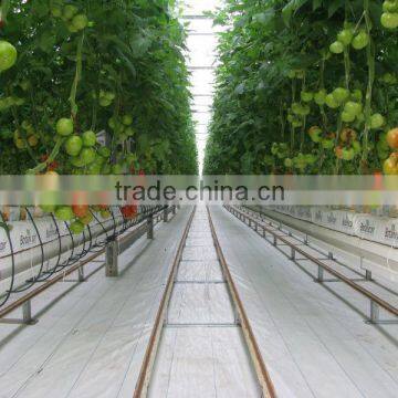 H2h Hydroponic Systems and Greenhouses