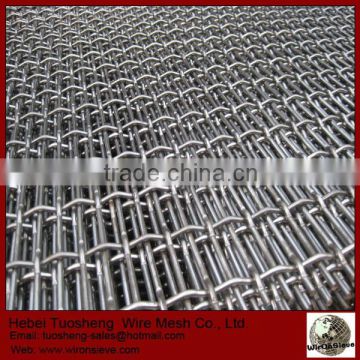 Professional Low Carbon Steel Wire Mesh (manufacture in Anping)