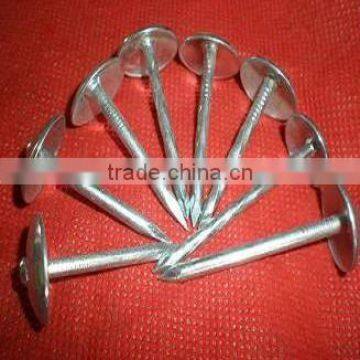 2"x11bwg galvanized roofing nails