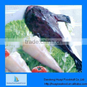 High quality frozen monkfish from China